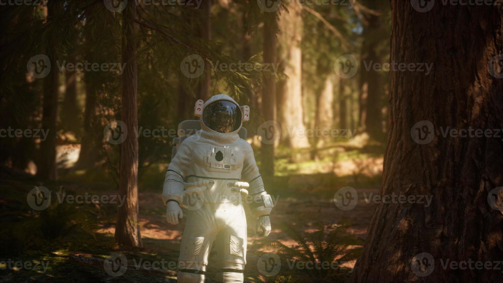 lonely Astronaut in dark forest photo