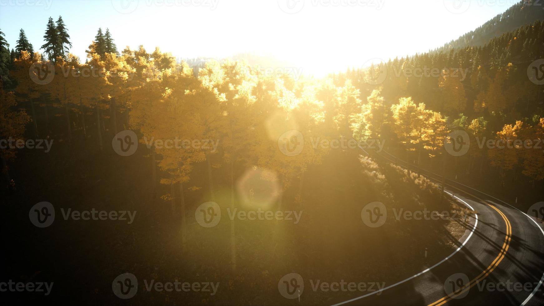 Aerial Drone View Flight over pine tree forest in Mountain at sunset photo