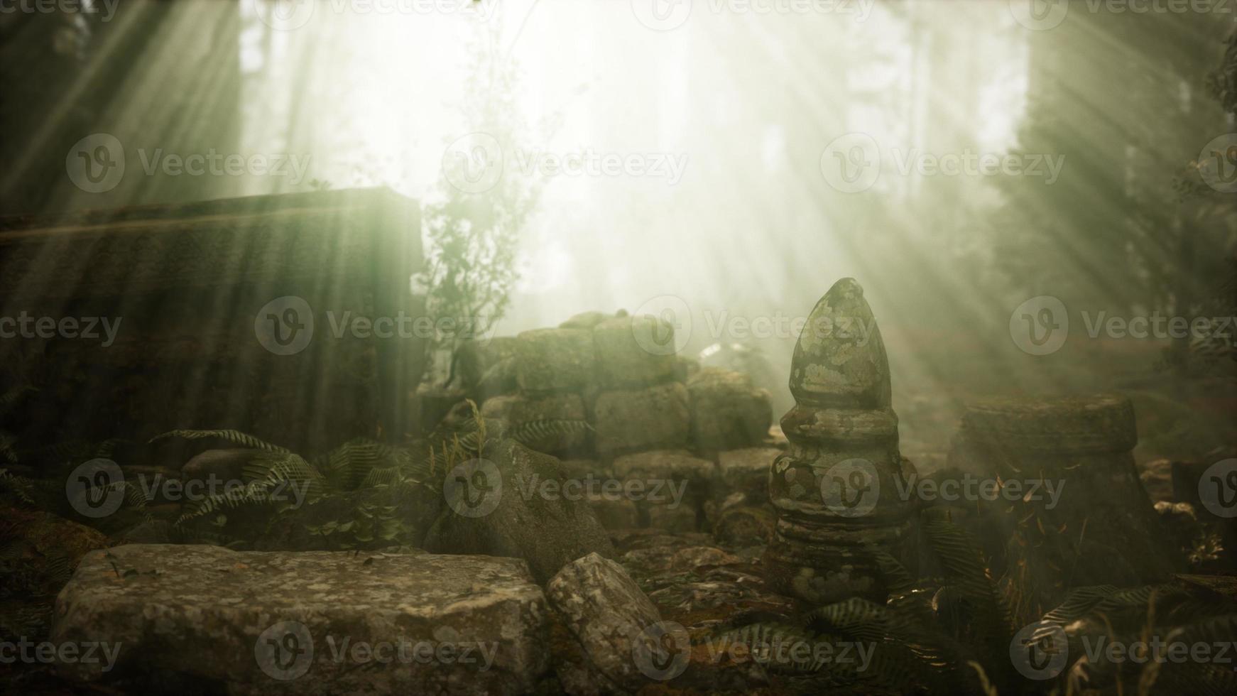 ruinas canosas de la ciudad antigua en el bosque de pinos foto