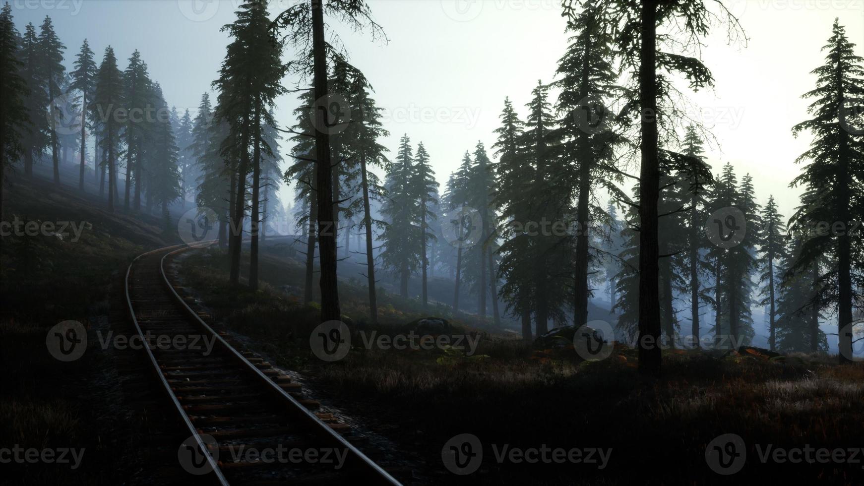 National Forest Recreation Area and the fog with railway photo