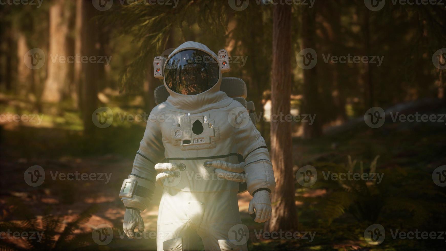 astronauta solitario en el bosque oscuro foto