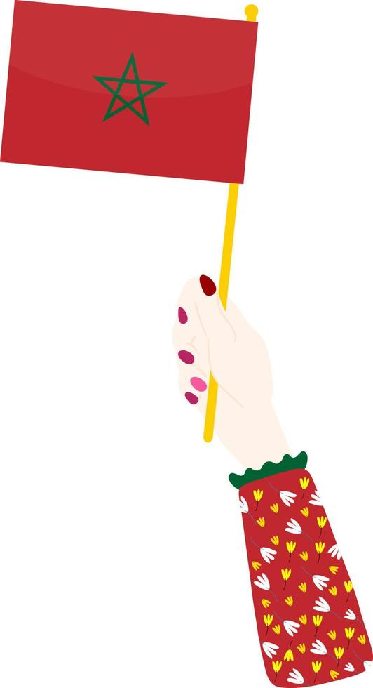 Morocco Flag vector icon. Morocco flag vector illustration