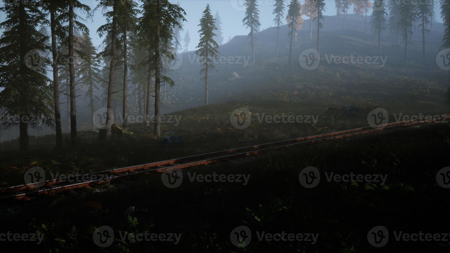 National Forest Recreation Area and the fog with railway photo