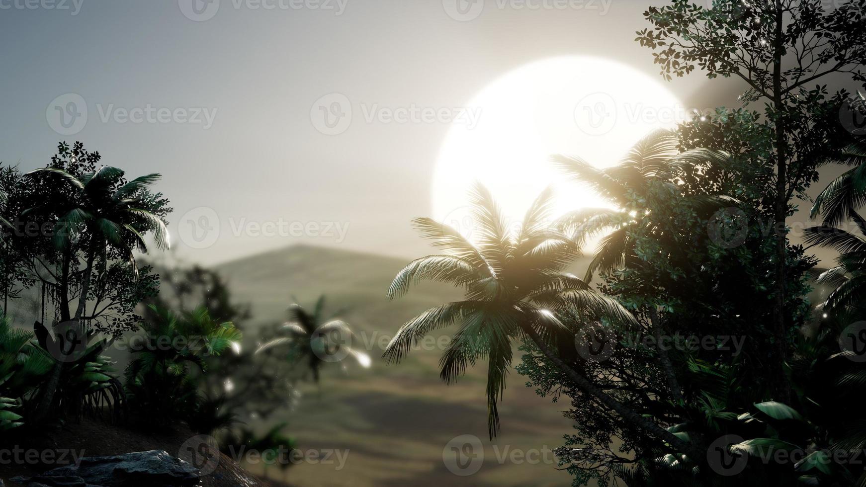 Coco palm trees tropical landscape photo