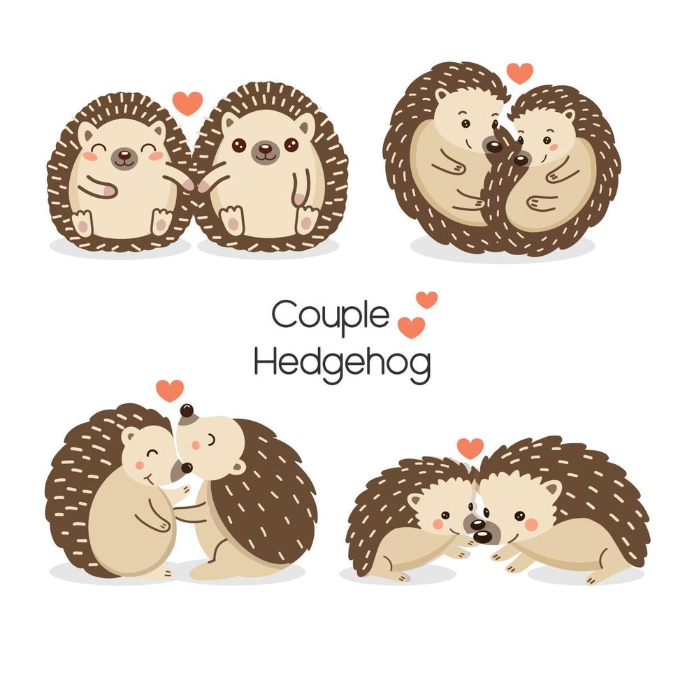 Set of Cute couple Hedgehog fall in love. Hand drawn cartoon animal character. vector
