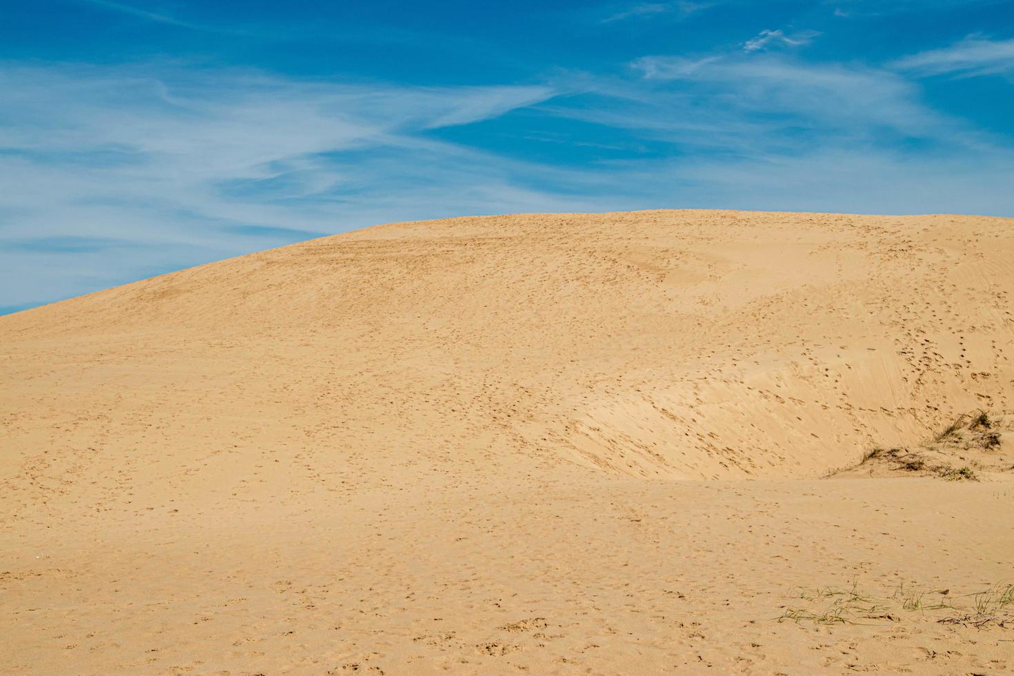 dunas de arena en uruguay foto