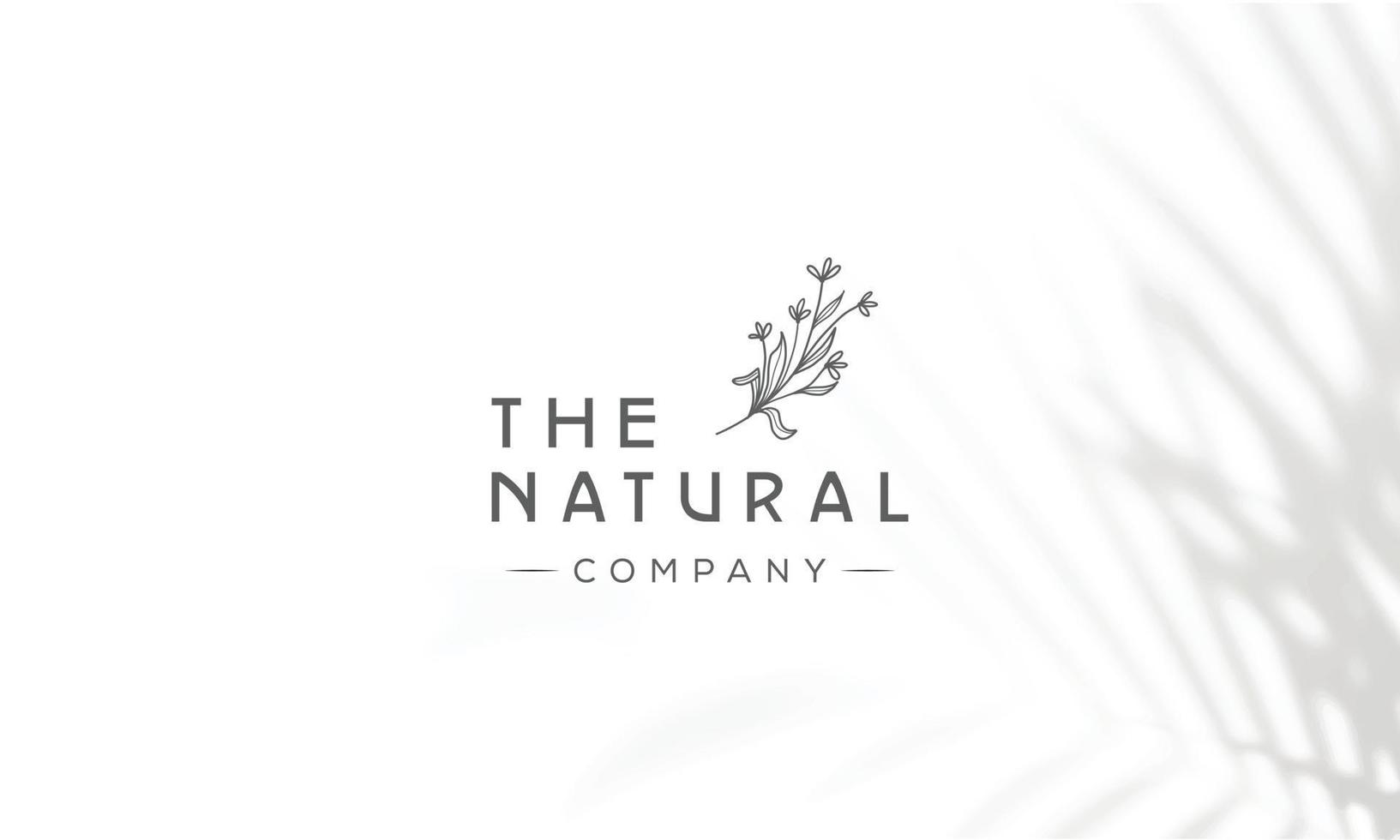 logotipo dibujado a mano con elementos florales botánicos con flores silvestres y hojas. logo para spa y salón de belleza, boutique, tienda orgánica, boda, diseñador floral, interior, fotografía, cosmética. vector