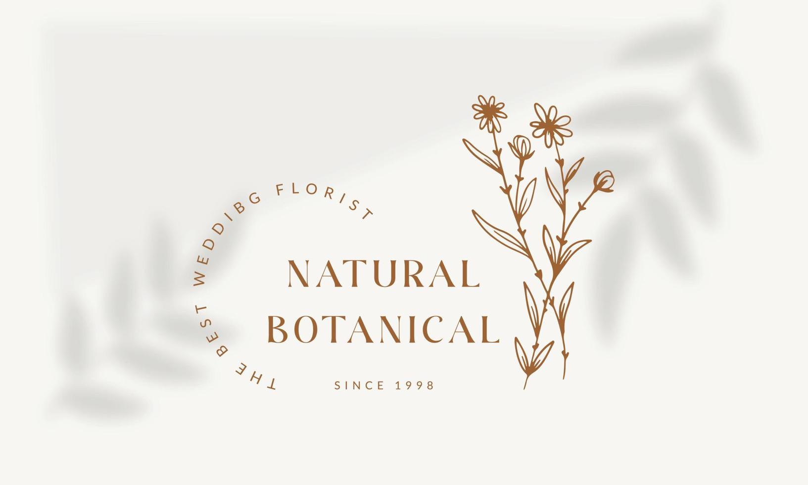 logotipo dibujado a mano con elementos florales botánicos con flores silvestres y hojas. logo para spa y salón de belleza, boutique, tienda orgánica, boda, diseñador floral, interior, fotografía, cosmética. vector