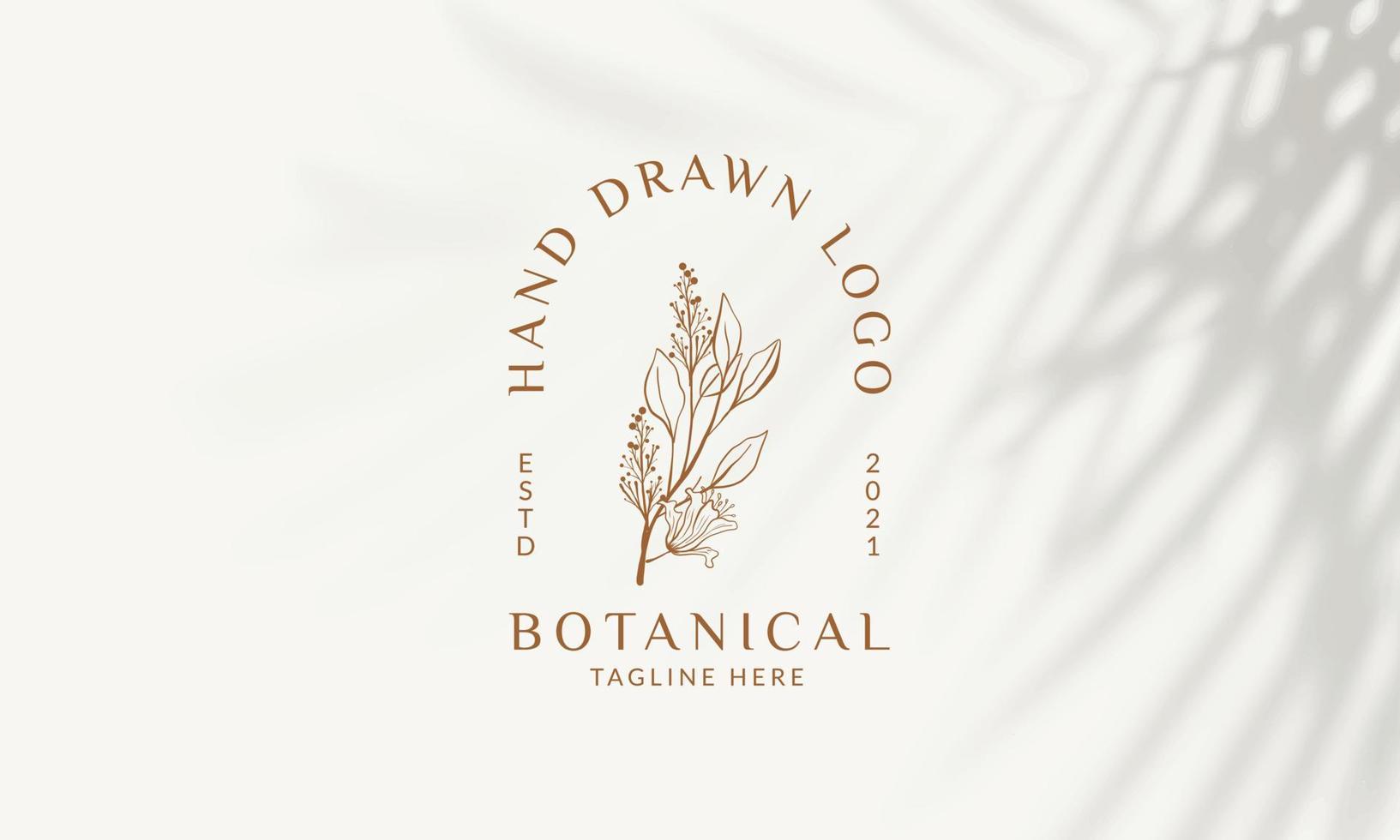 Botanical Floral element Hand Drawn Logo with Wild Flower and Leaves. Logo for spa and beauty salon, boutique, organic shop, wedding, floral designer, interior, photography, cosmetic. vector