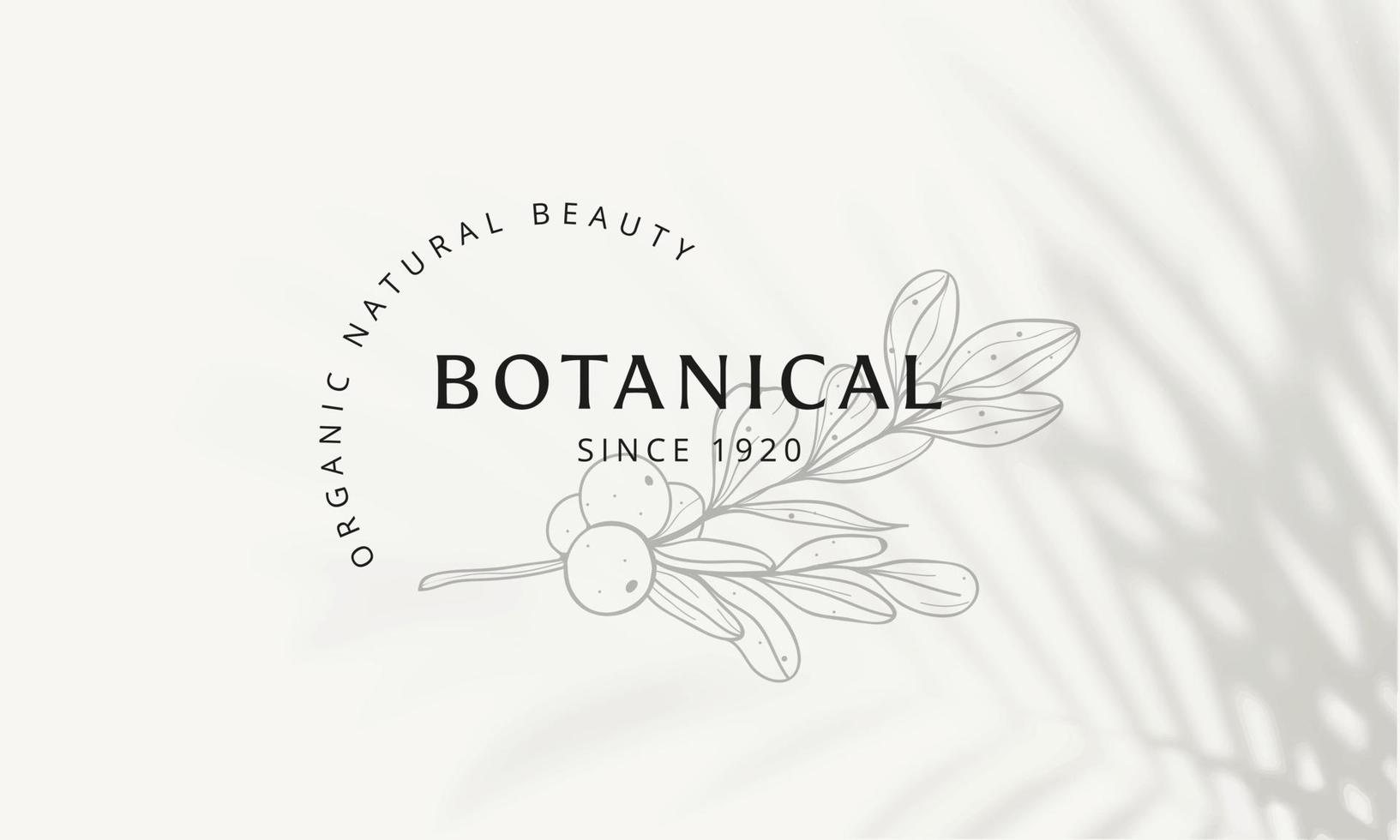 logotipo dibujado a mano con elementos florales botánicos con flores silvestres y hojas. logo para spa y salón de belleza, boutique, tienda orgánica, boda, diseñador floral, interior, fotografía, cosmética. vector