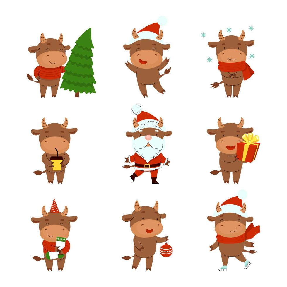 Set of cute bulls in winter scenes. Farm animals in winter costumes, new year activity, christmas. Vector illustration in cartoon style