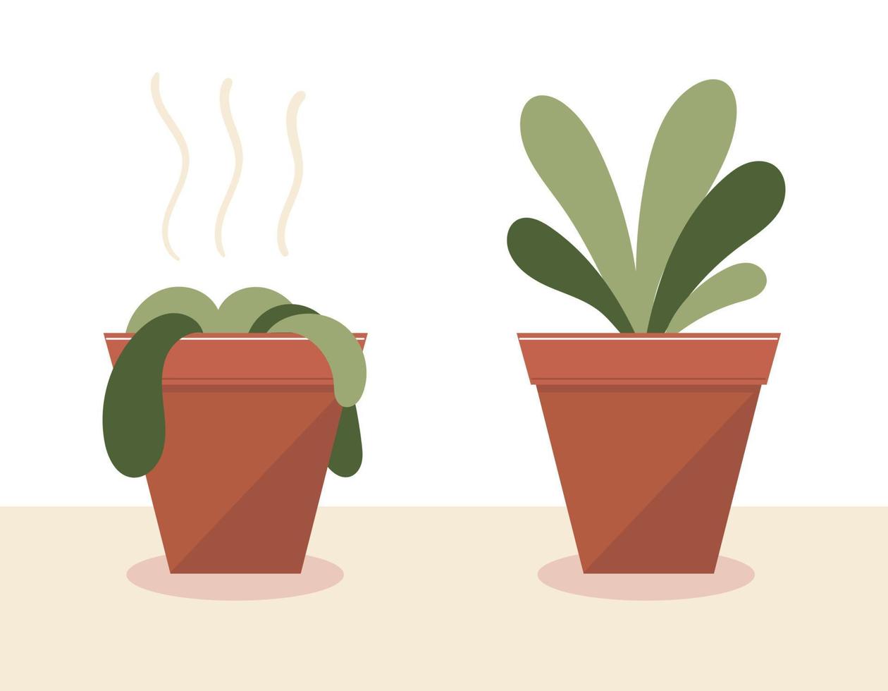 A wilted plant in a pot.The plant came to life.Before and after watering and care.The result of the fertilizer.Flat vector stock illustration