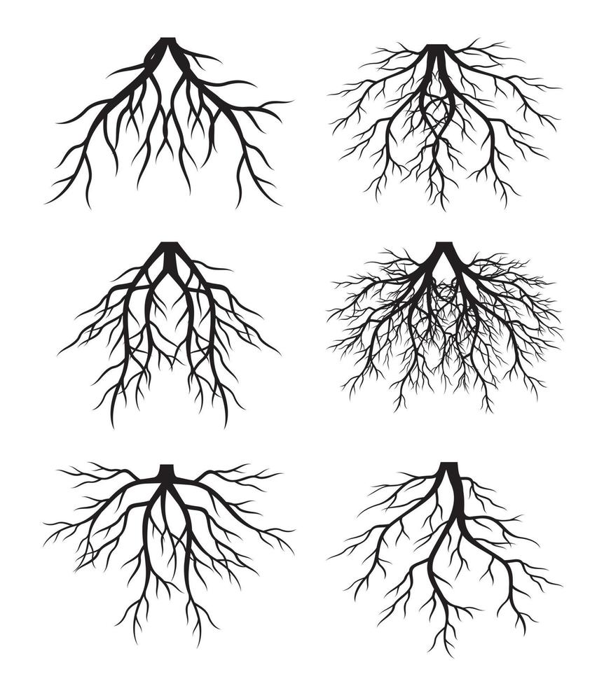 Black Roots Collection. Vector outline Illustration. Plant in Garden.
