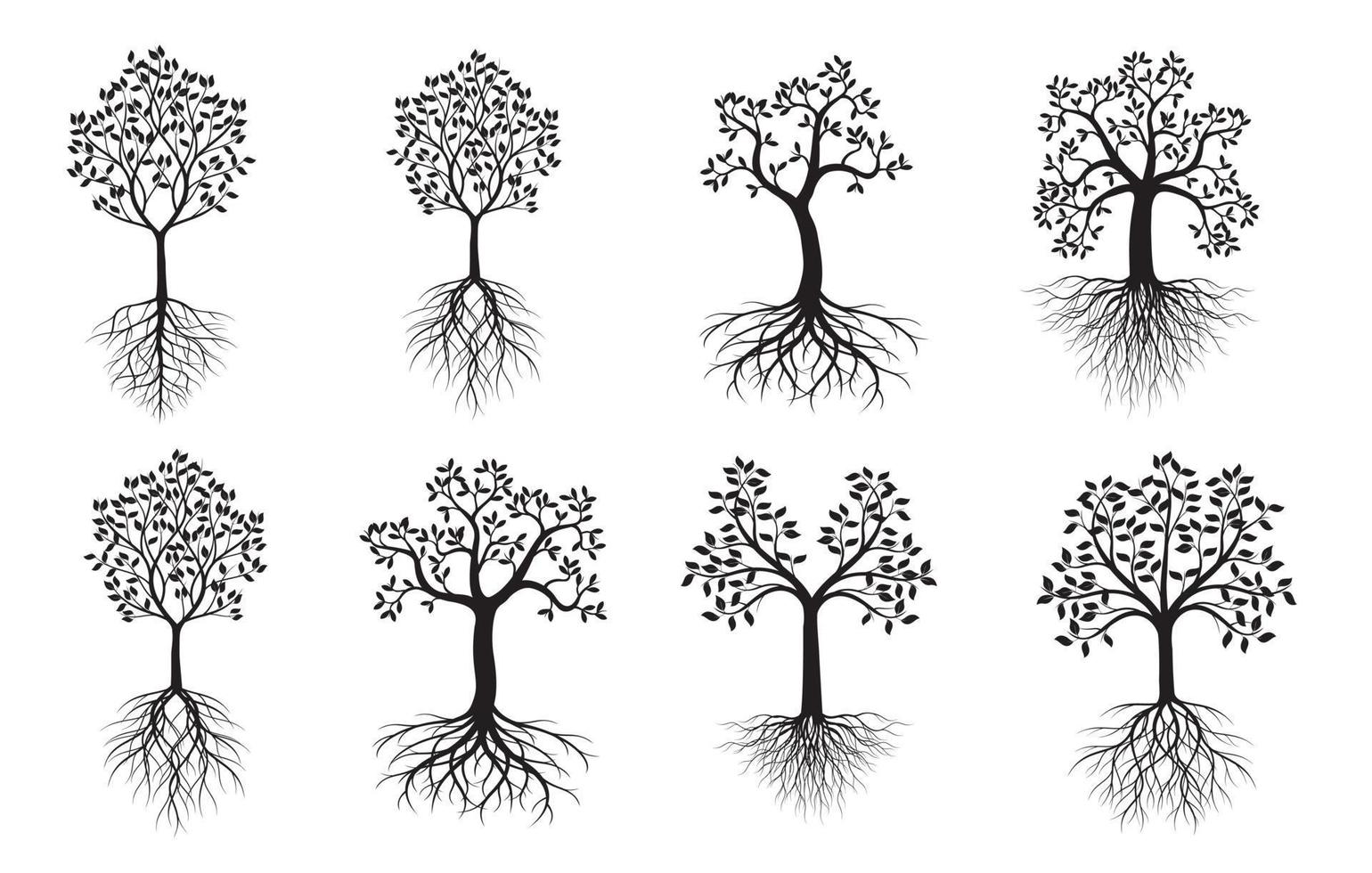 Trees with Leaves and Roots. Vector outline Illustration. Plant in Garden.