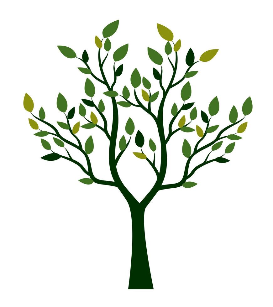 Green Tree. Vector outline Illustration. Plant in Garden.