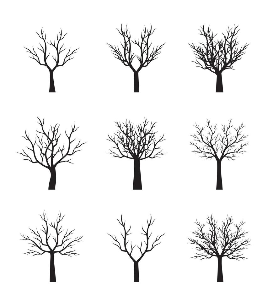 Trees collection. Vector outline Illustration. Plant in Garden.