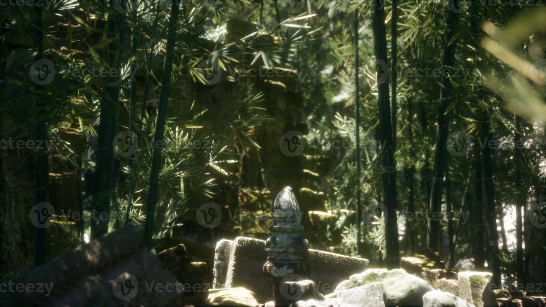 The Ruins of ancient buildings in green bamboo forest photo