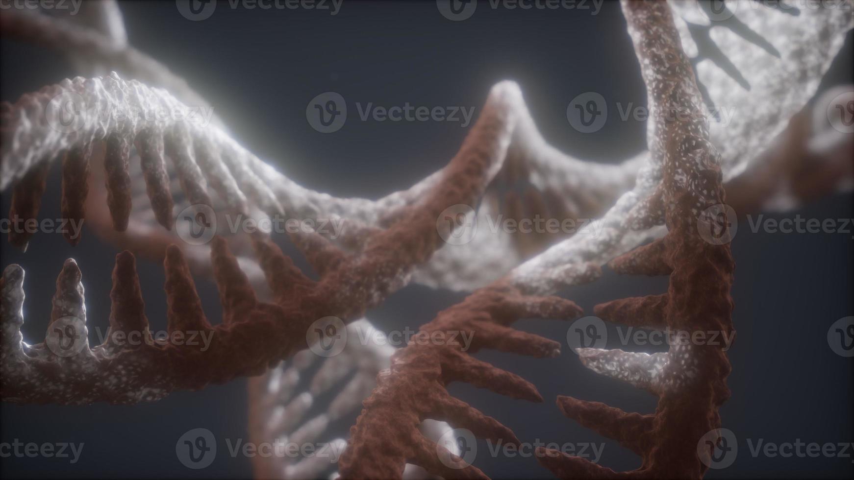 loop double helical structure of dna strand close-up animation photo