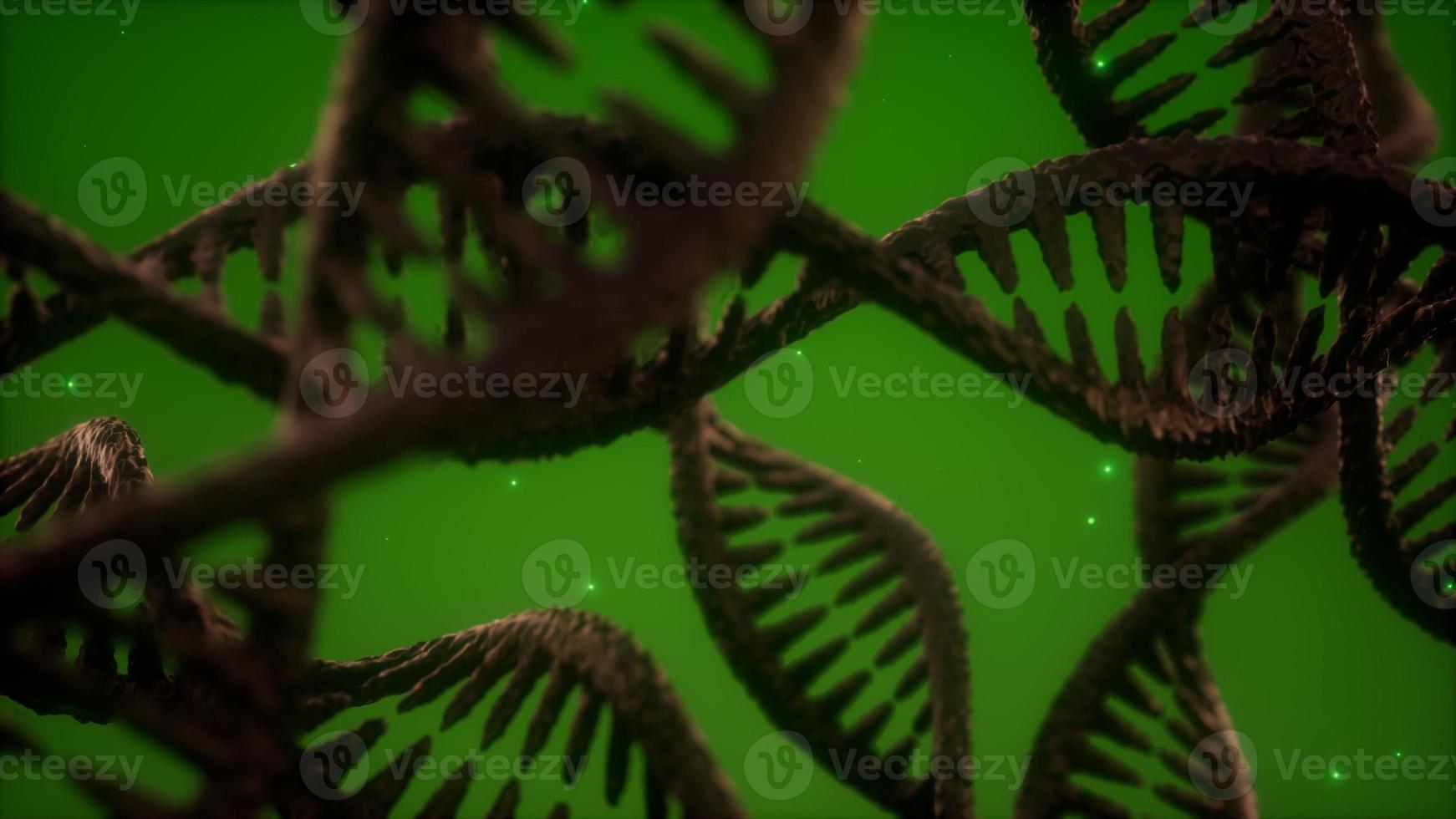 structure of the DNA double helix animation photo