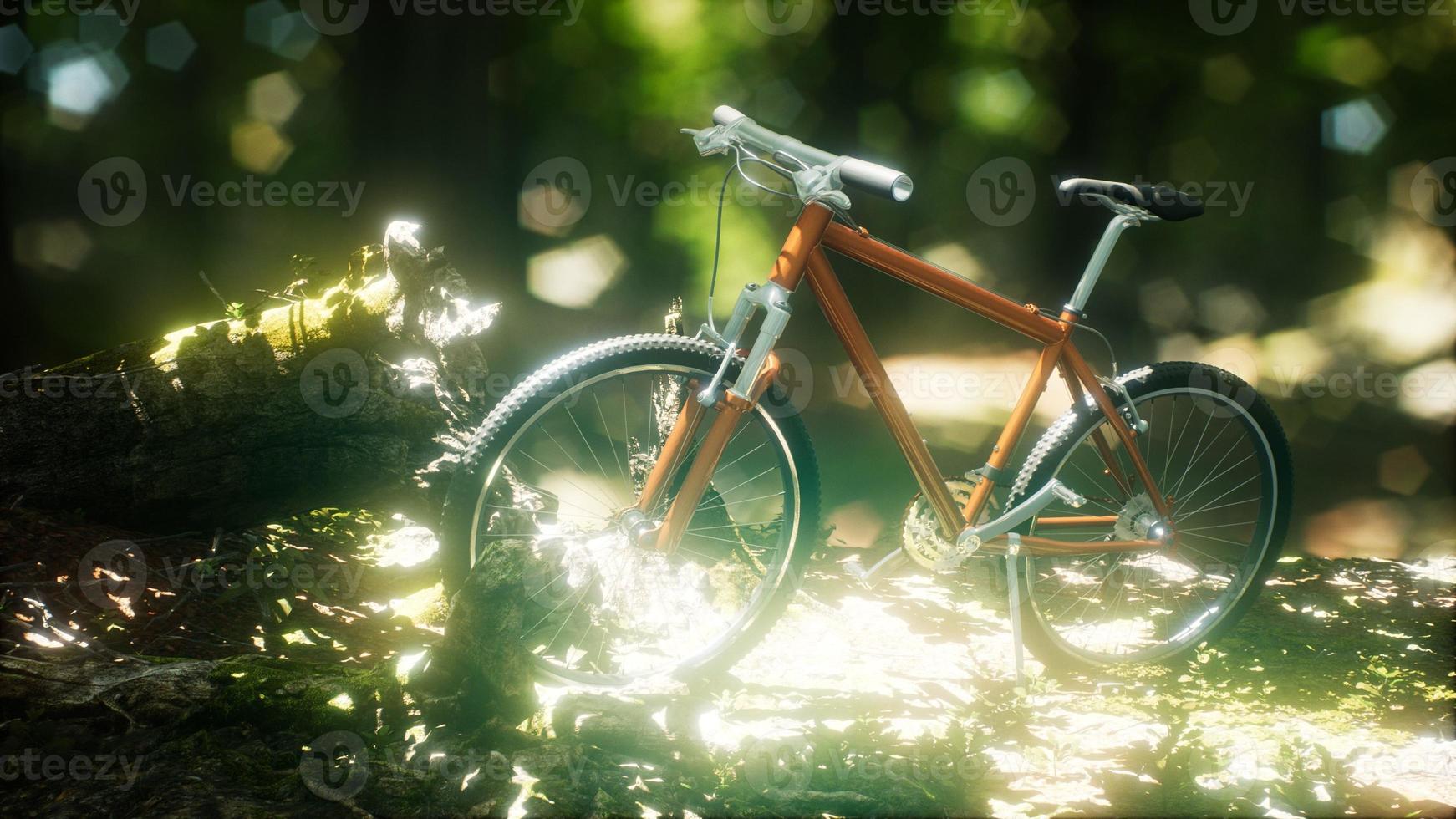 Mountain bike on the forest path photo