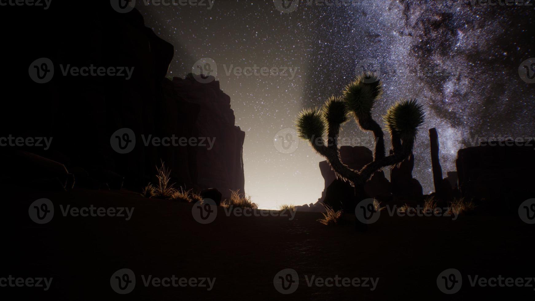 The Milky Way above the Utah desert, USA photo