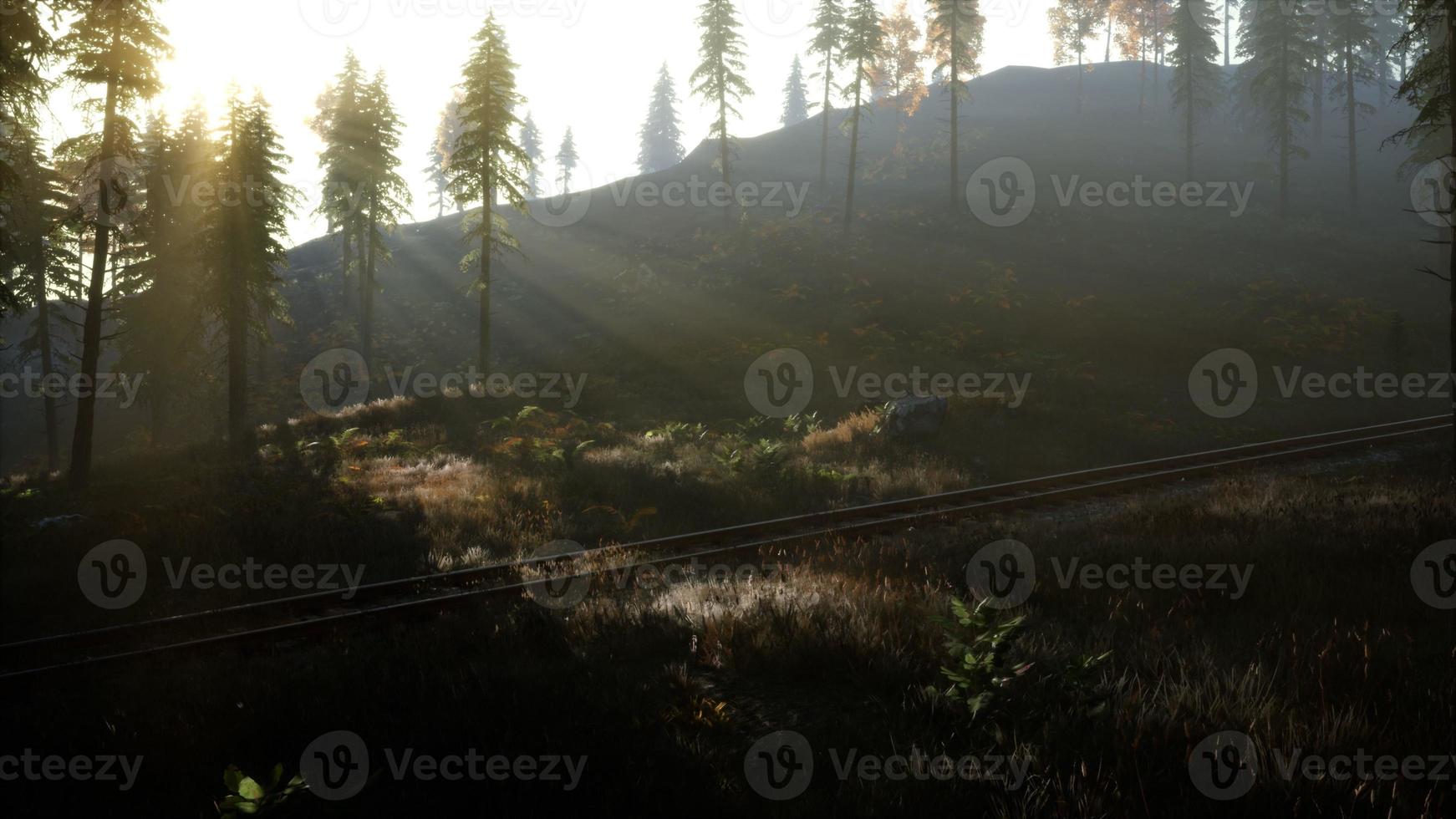 National Forest Recreation Area and the fog with railway photo