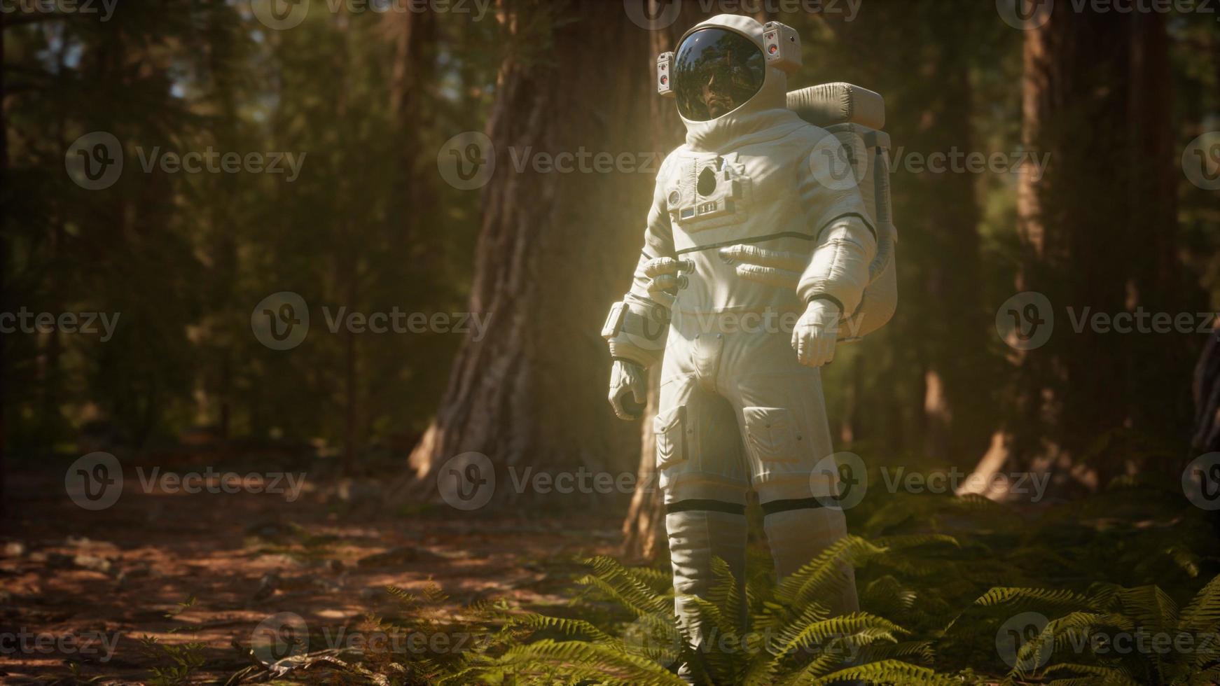 lonely Astronaut in dark forest photo