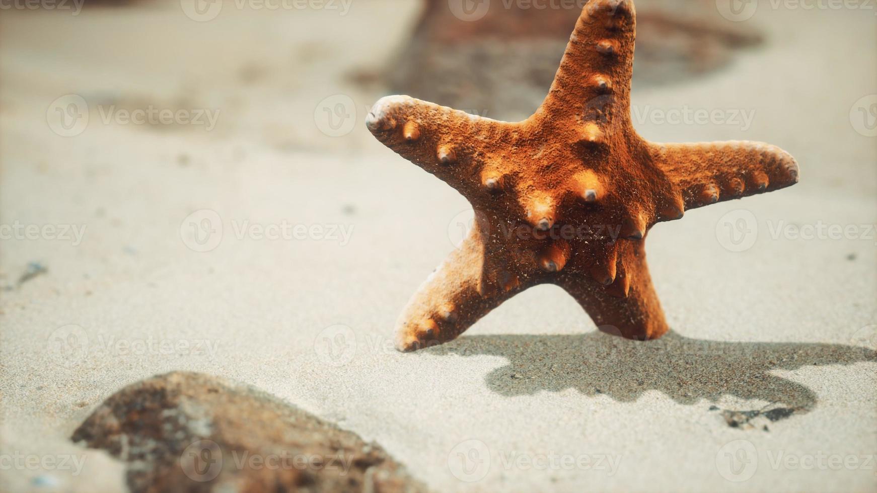 estrella de mar roja en la playa del océano con arena dorada foto