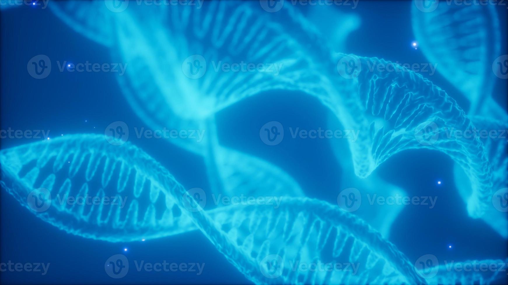 structure of the DNA double helix animation photo