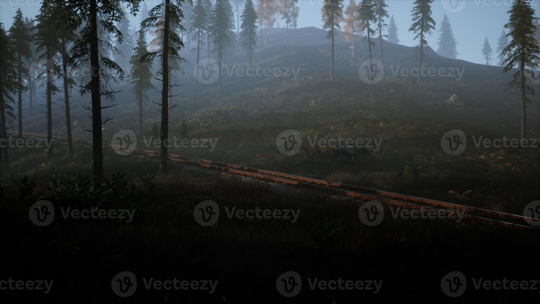 National Forest Recreation Area and the fog with railway photo