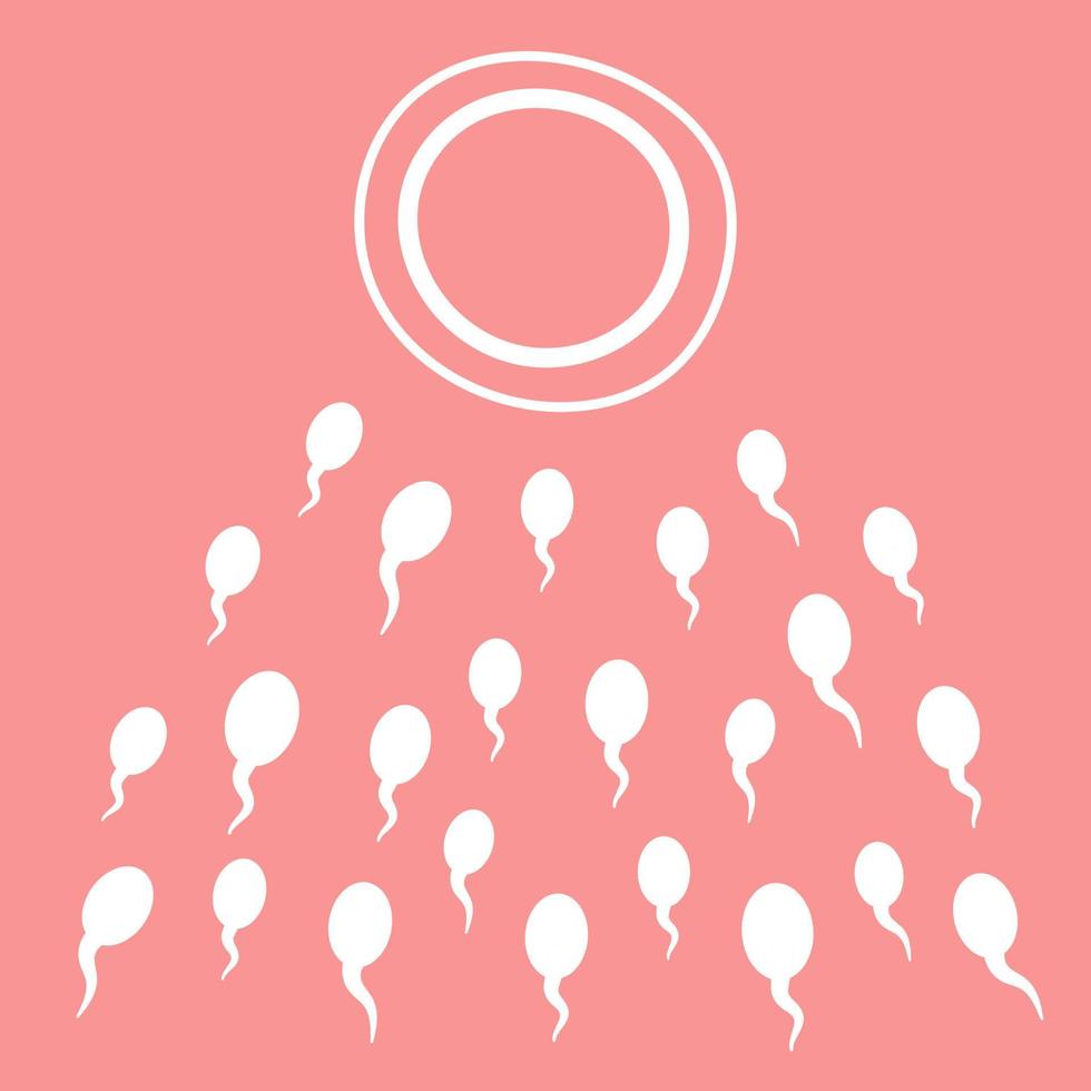 Spermatozoa tend to the egg.Concept of fertilization, pregnancy, conception.Gynecology, women's problems, infertility, childbirth,new life.Vector stock illustration on a pink background vector