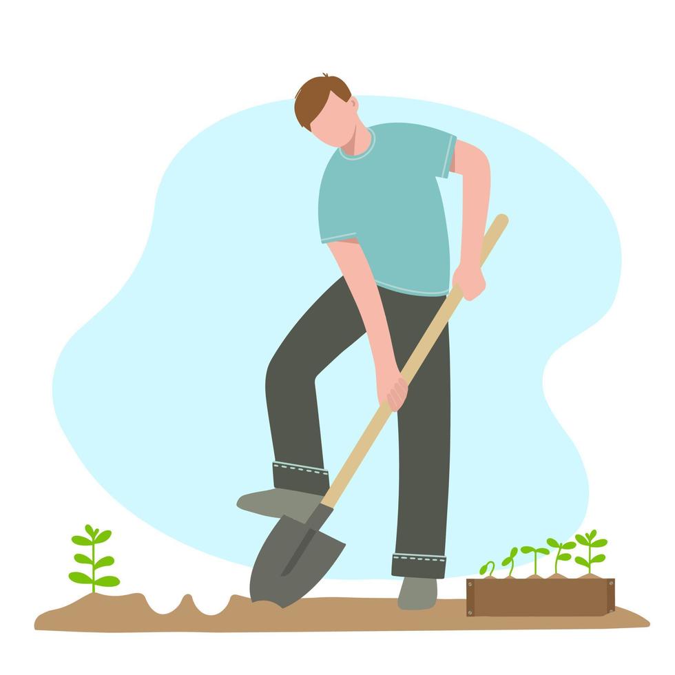 Man with shovel digs holes for planting plants vector