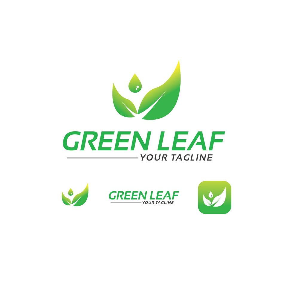 green leaf logo design template Pro Vector