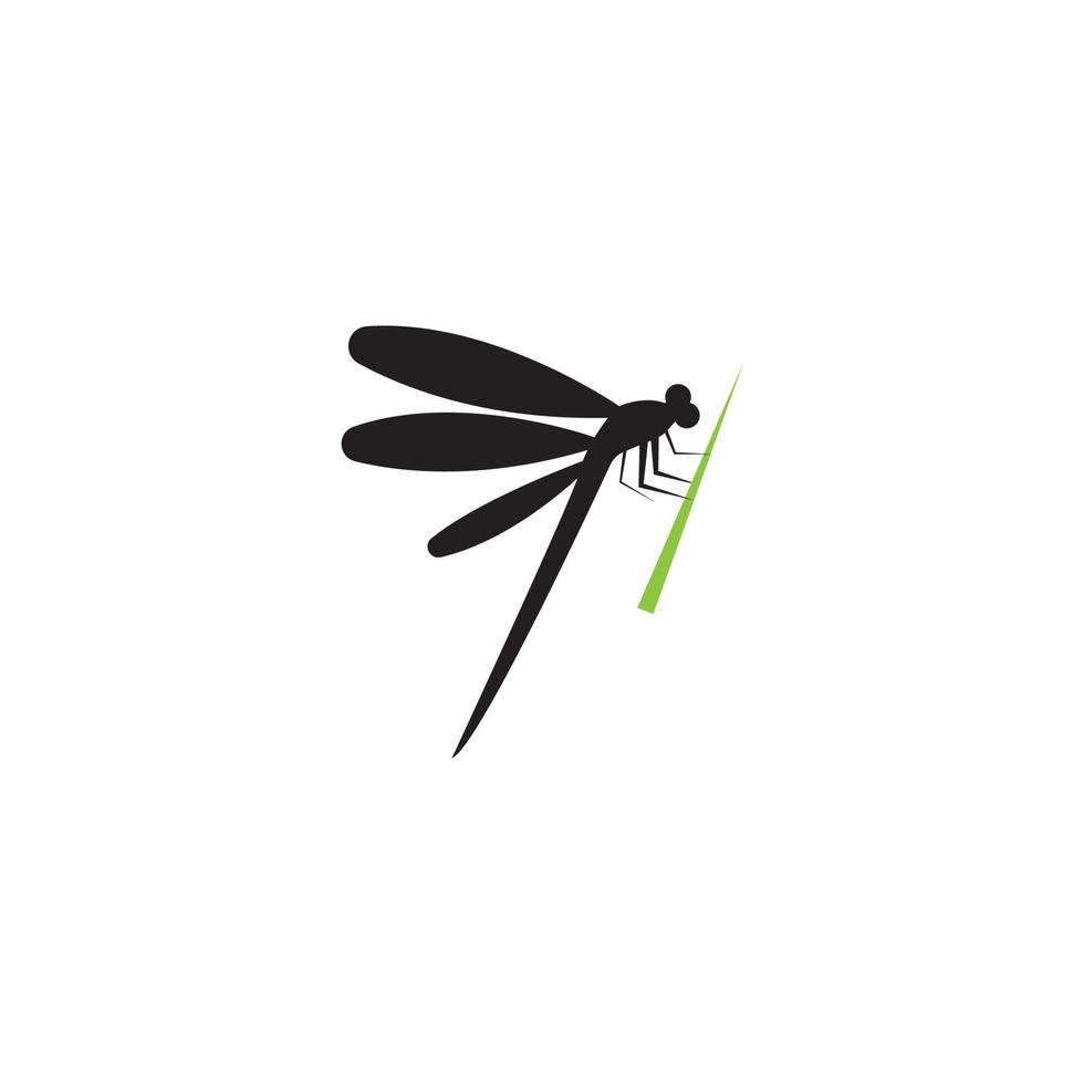 Dragonfly illustration icon design template vector