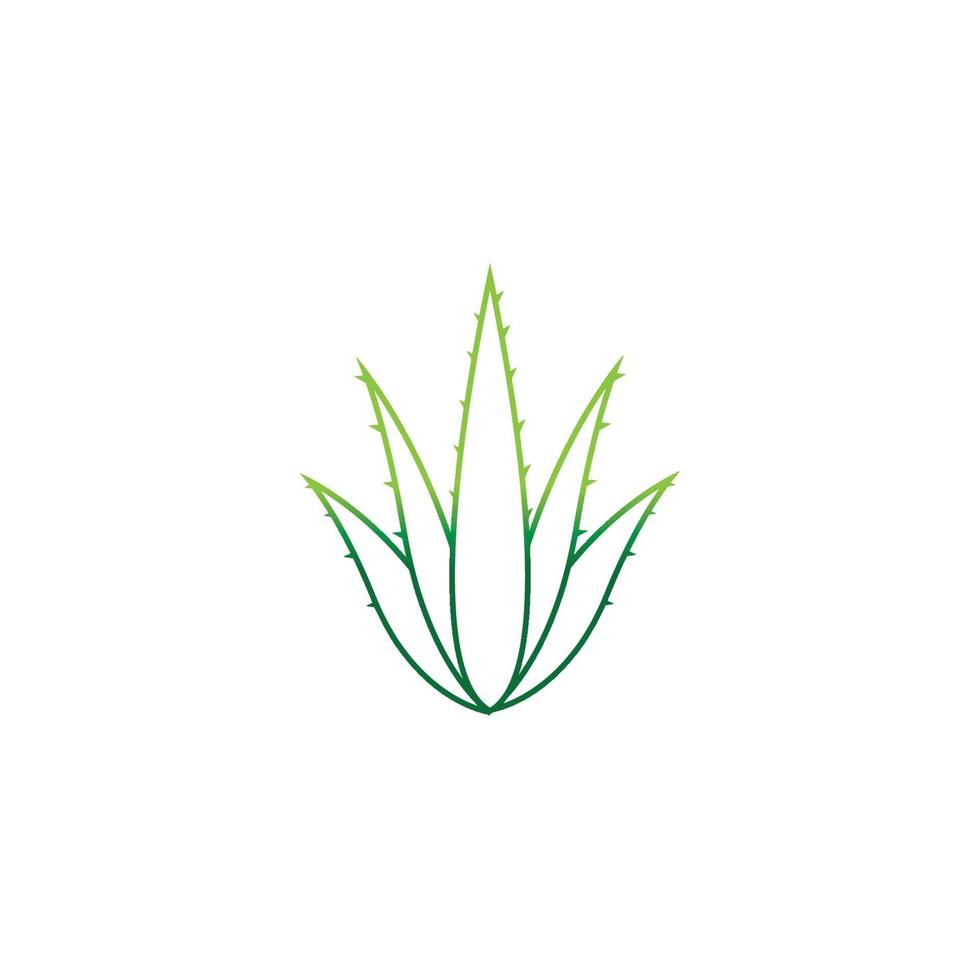 Aloe vera logo vector ilustration template