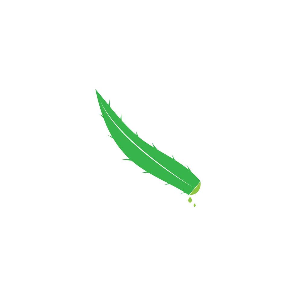 Aloe vera logo vector ilustration template