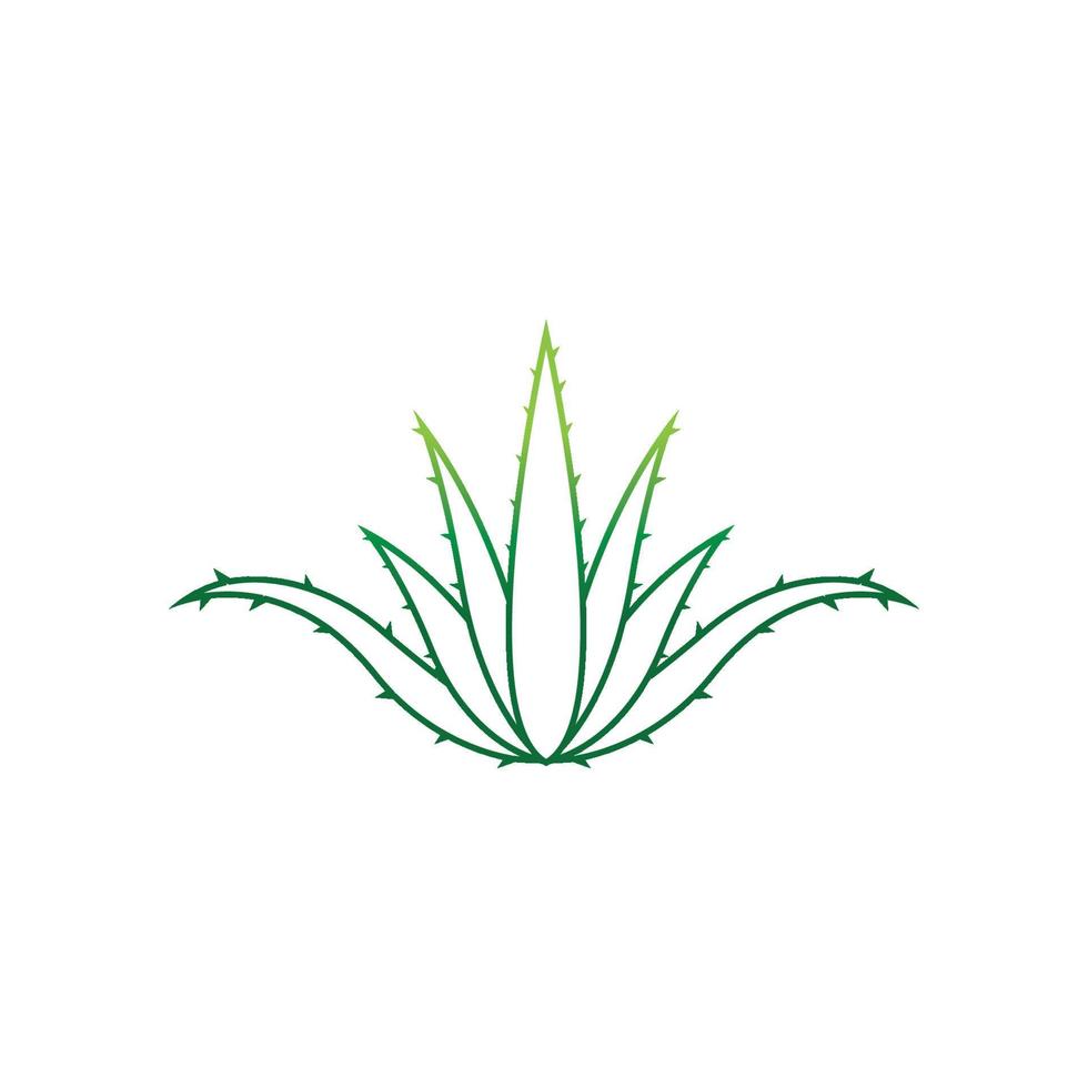 Aloe vera logo vector ilustration template