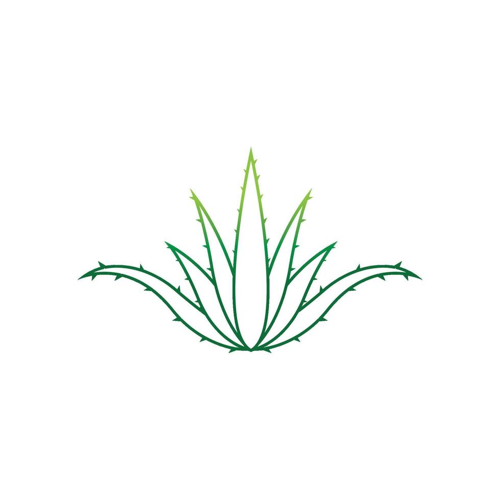 Aloe vera logo vector ilustration template