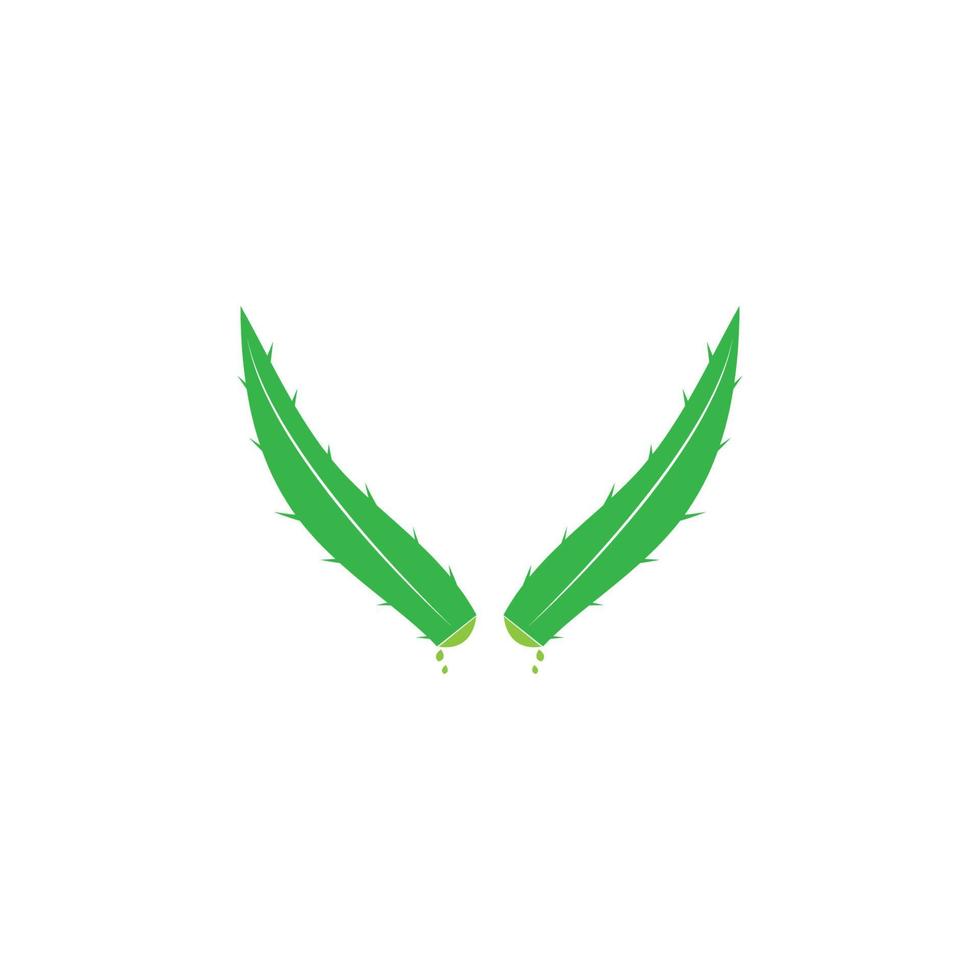 plantilla de ilustración de vector de logotipo de aloe vera