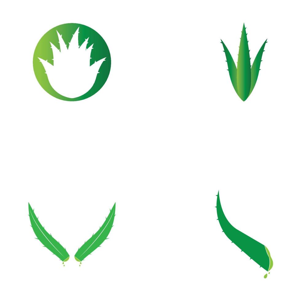 Aloe vera logo vector ilustration template