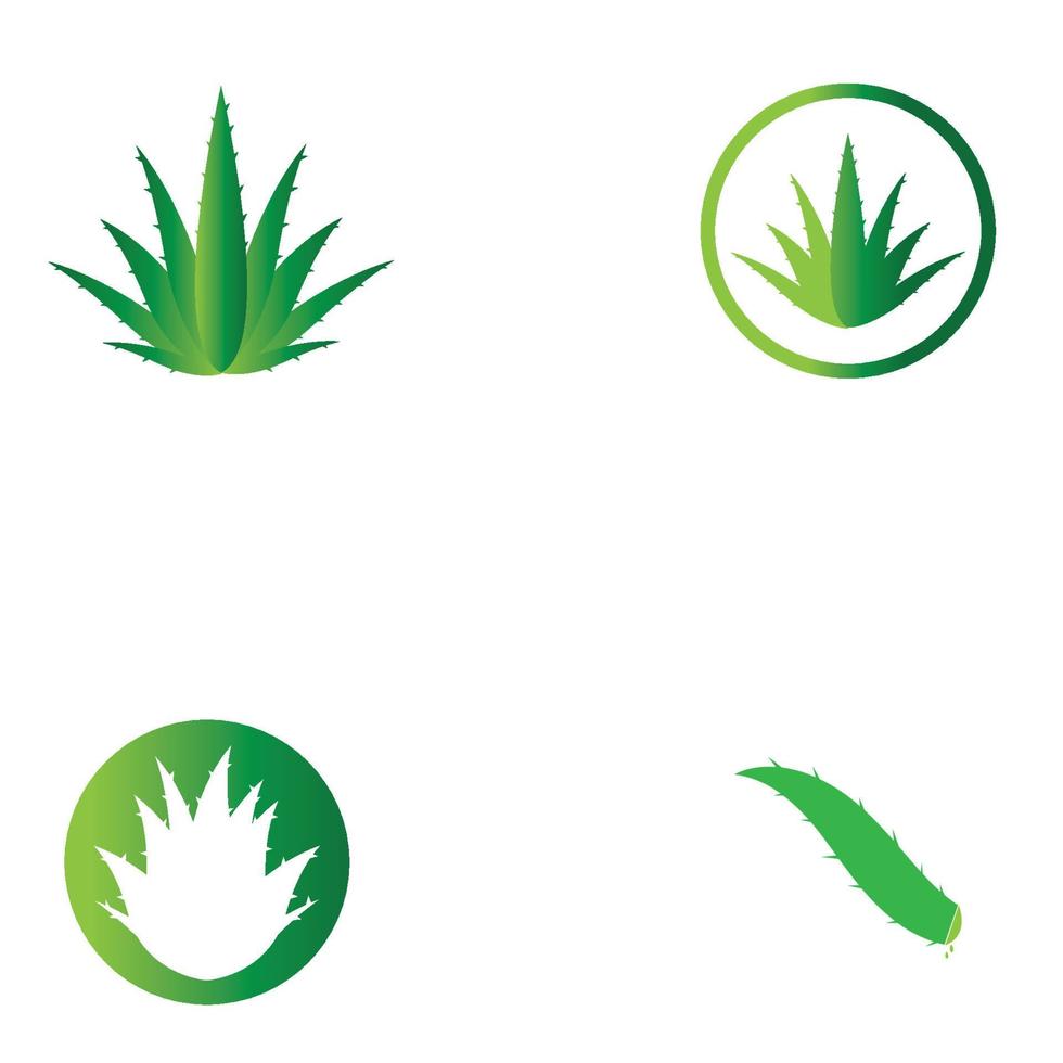 plantilla de ilustración de vector de logotipo de aloe vera