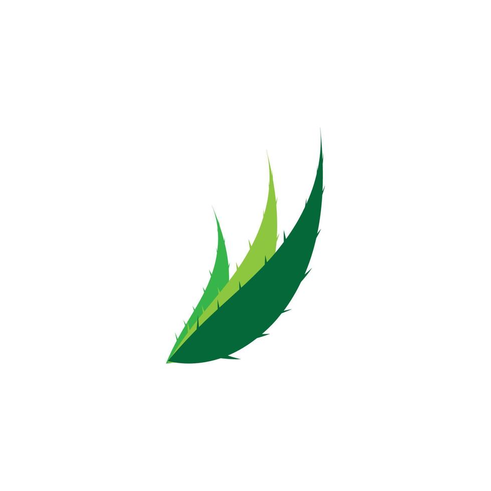 Aloe vera logo vector ilustration template