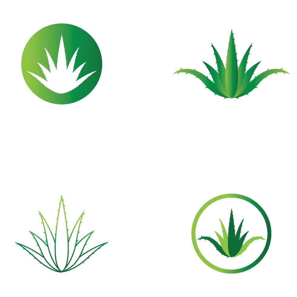 plantilla de ilustración de vector de logotipo de aloe vera