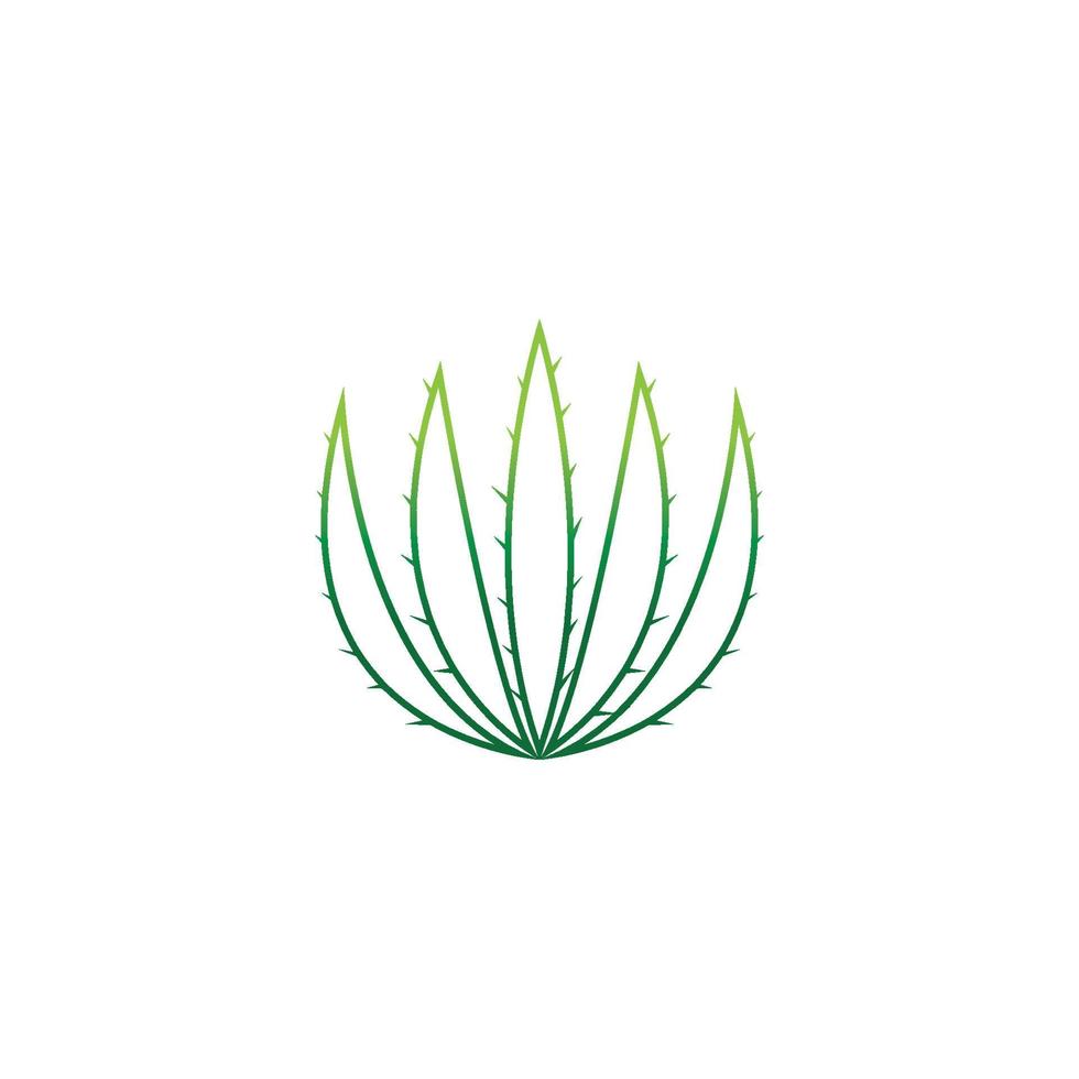 Aloe vera logo vector ilustration template