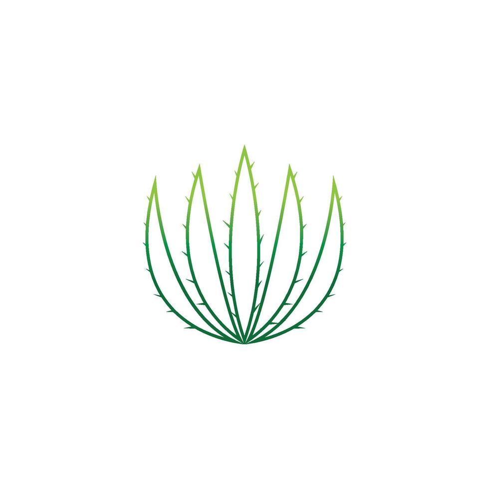 Aloe vera logo vector ilustration template