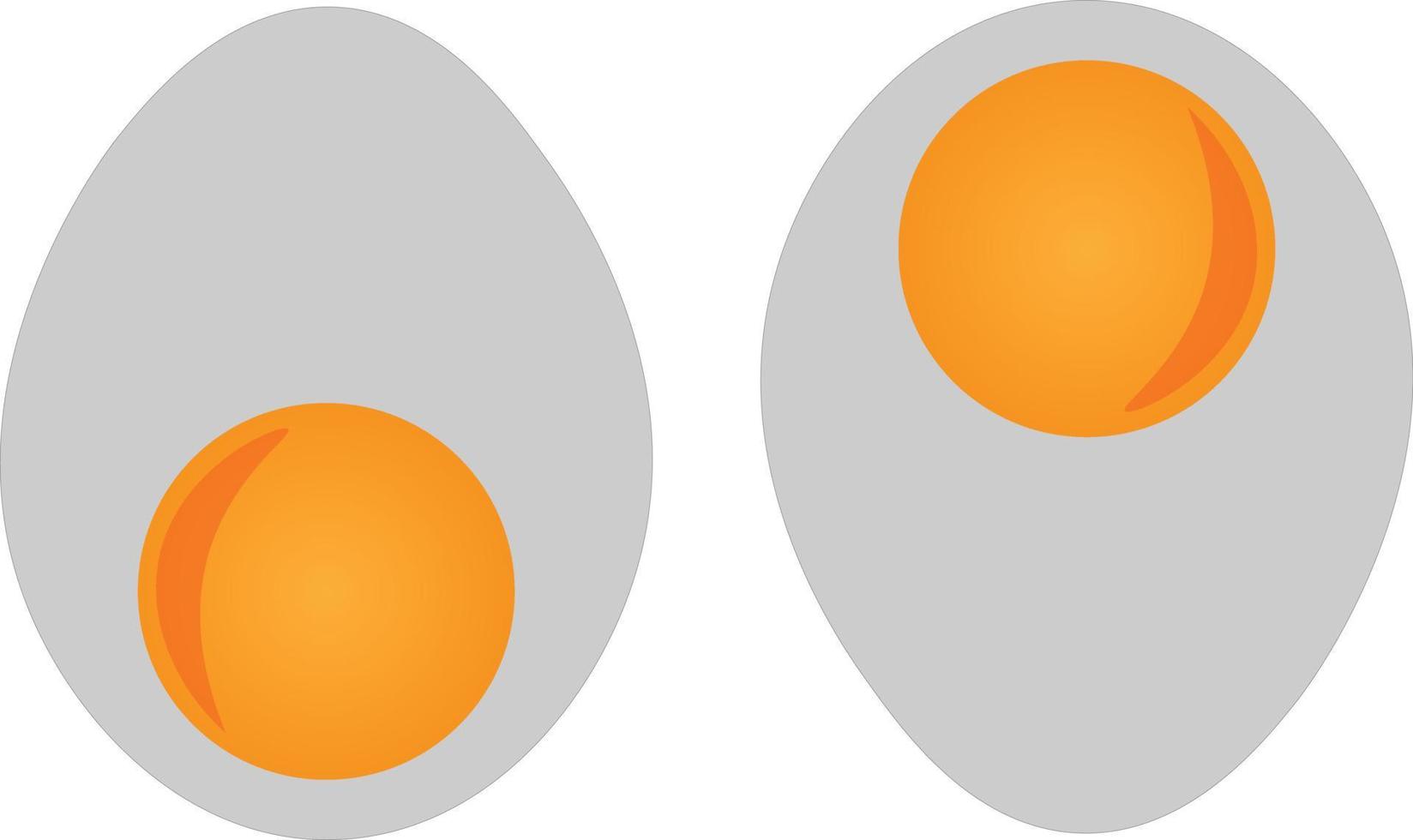 Food series vector, vector of eggs with shiny yellow. Great for icons, symbols or signs