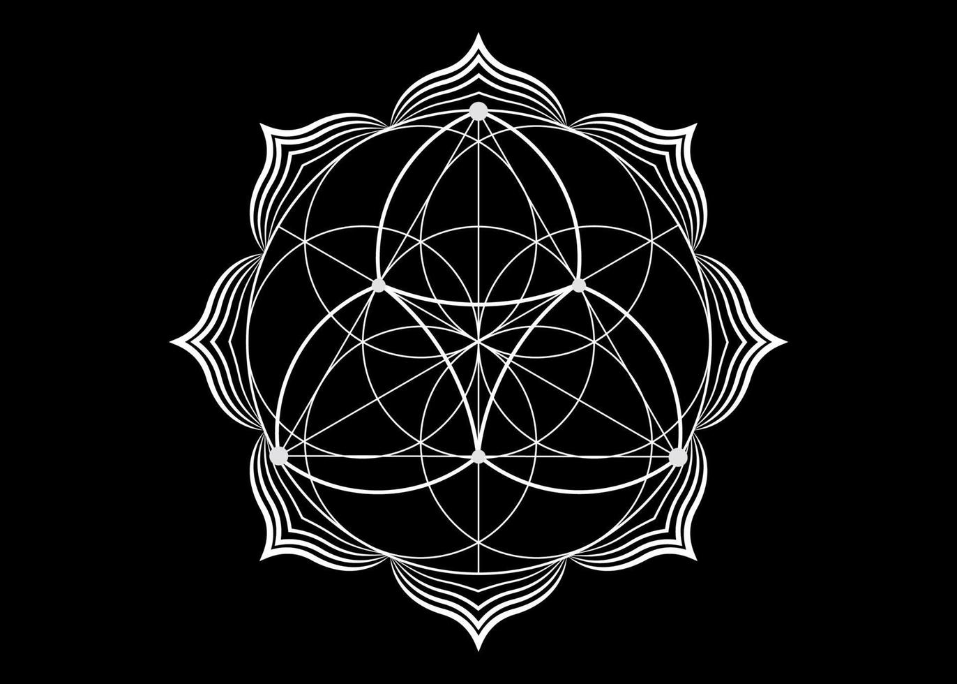 Seed Flower of life lotus icon, yantra mandala sacred geometry, tattoo symbol of harmony and balance. Mystical talisman, white lines vector isolated on black background