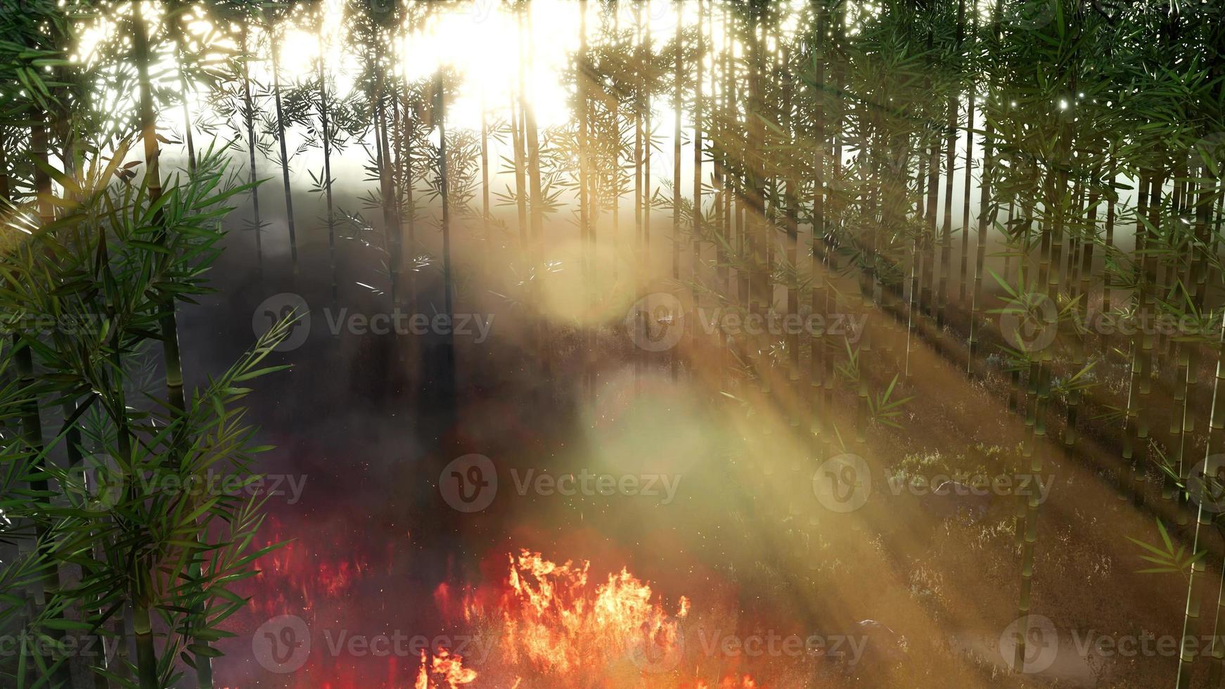 Wind blowing on a flaming bamboo trees during a forest fire photo