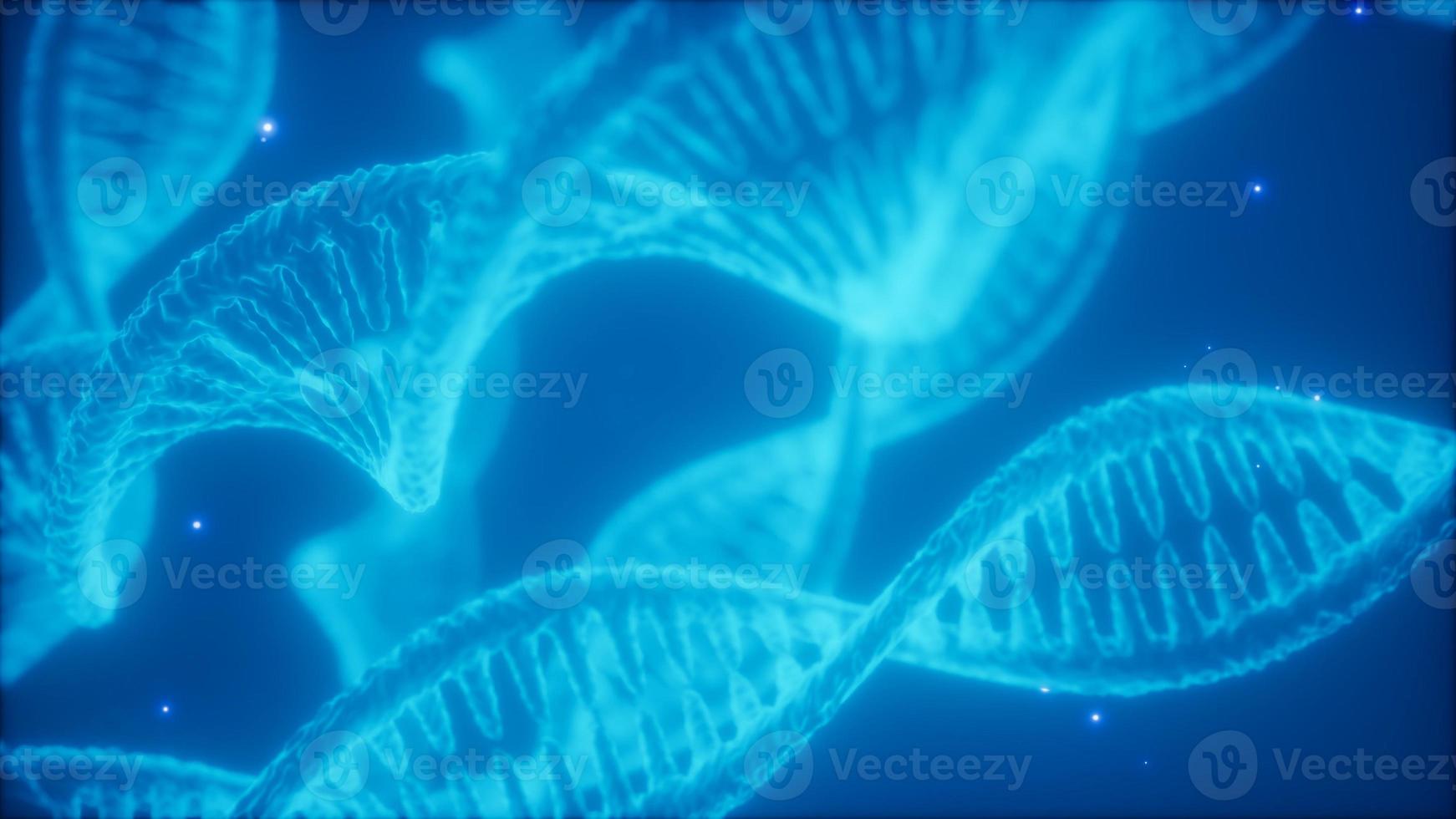 structure of the DNA double helix animation photo