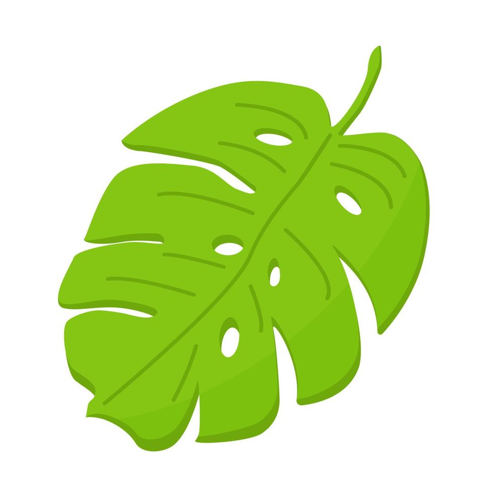 Green palm leaf in cartoon style. vector